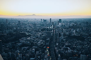 gray city scale, Minato, Japan, Skyscrapers HD wallpaper