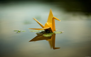 brown swan origami, origami, paper cranes, reflection, water