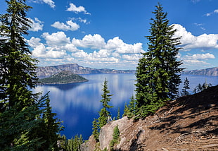photo of body of water surrounded by trees and brown mountain under blue calm sky