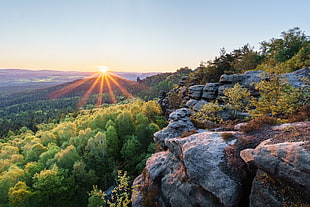 rock mountain surrounded by green leaves tree during sunrise