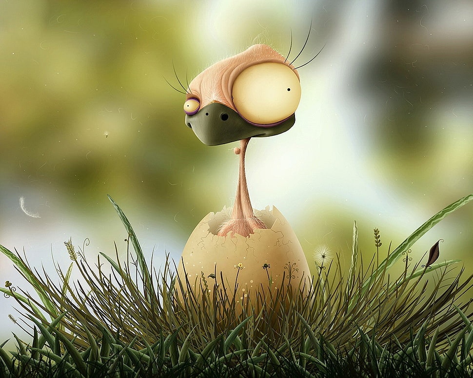 bird in shell wallpaper, birds, artwork HD wallpaper