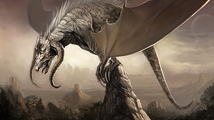 gray dragon on rock poster