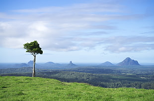 landscape photo of mountain and green grass field during daytime, queensland, australia