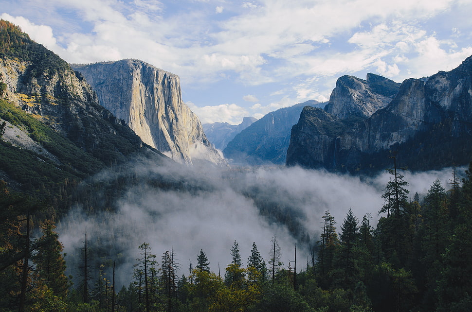 green trees between mountains during daytime HD wallpaper