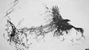 black and white painting of bird