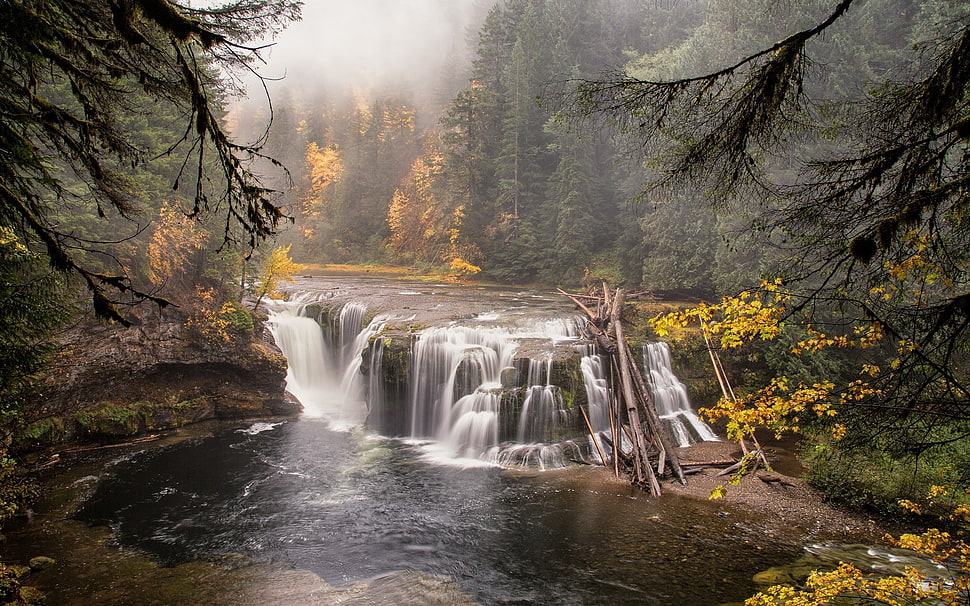 waterfall near forest HD wallpaper