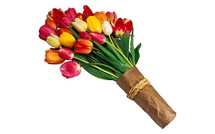 Tulips,  Flowers,  Bouquet,  Bright HD wallpaper