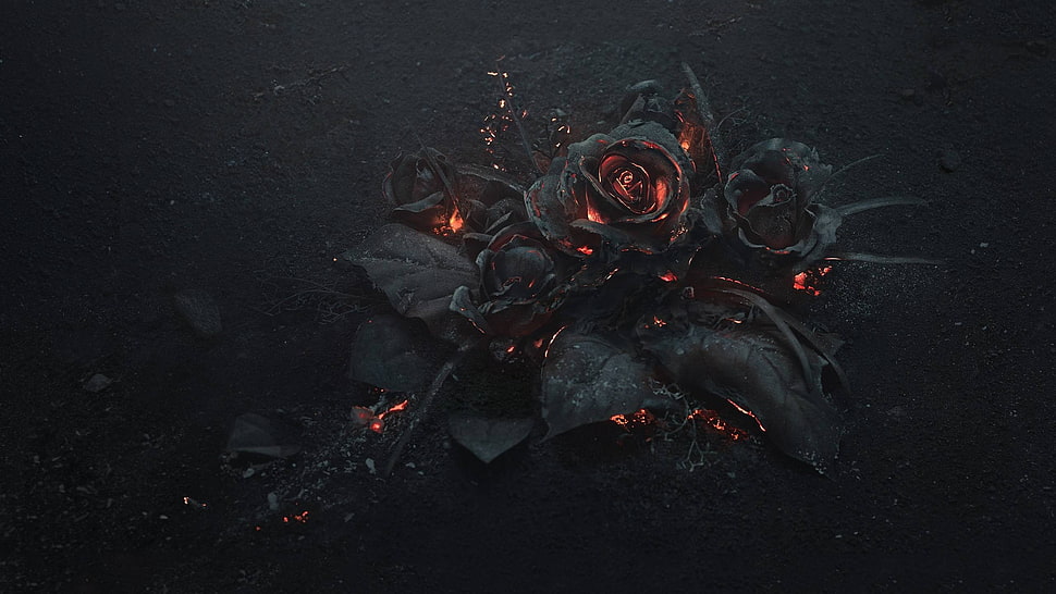 black rose with flames HD wallpaper