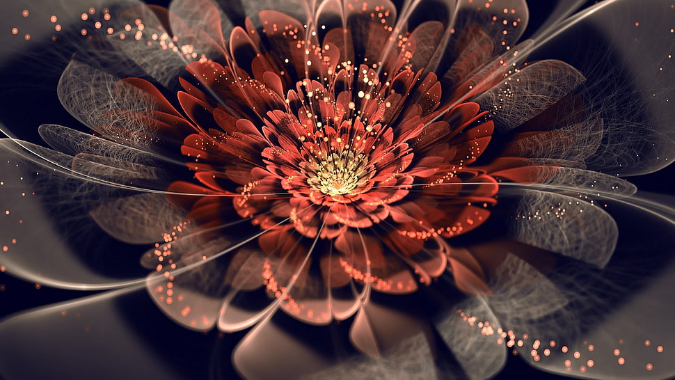 red and black petaled flower 3D wallpaper HD wallpaper
