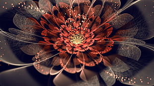 red and black petaled flower 3D wallpaper