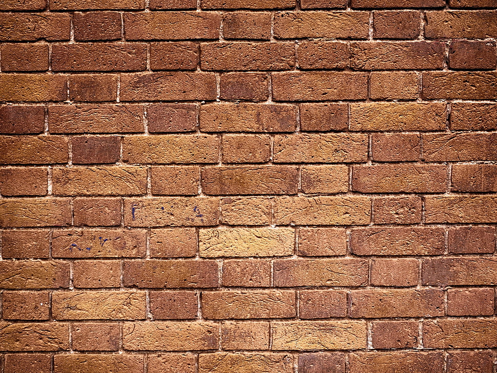 brown brick wall, texture, bricks, wall HD wallpaper