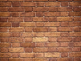 brown brick wall, texture, bricks, wall