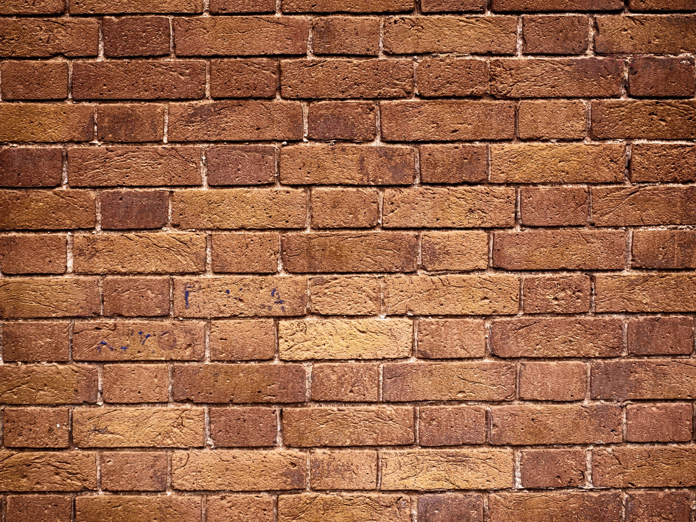 brown brick wall, texture, bricks, wall