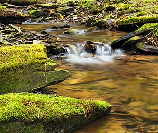 time-lapse photography of flower water in between mossy rock formations HD wallpaper
