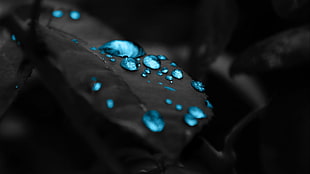 shallow focus photography of blue gemstone