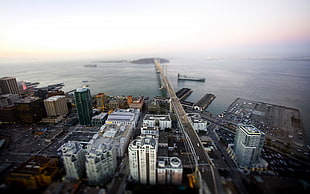 birds eye view photography of city with high rise buildings surrounded with body of water