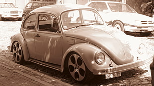 white Volkswagen Beetle, car, Volkswagen Beetle
