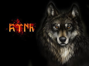 illustration of wolf, wolf