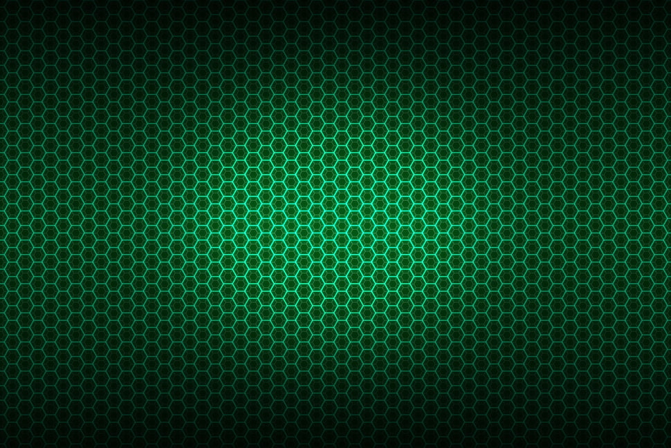 shallow focus of green frame HD wallpaper