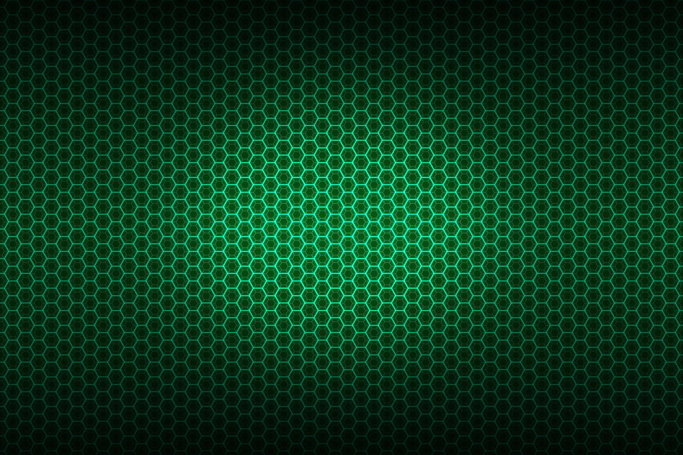 shallow focus of green frame HD wallpaper
