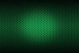 shallow focus of green frame HD wallpaper