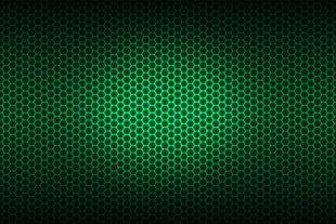 shallow focus of green frame