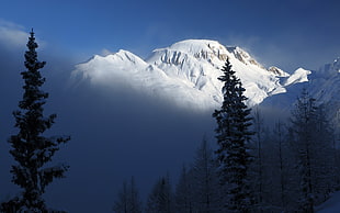 snow covered mountain, nature, landscape, snow, winter