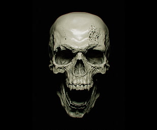 white human skull, dark, vampires, skull, black background