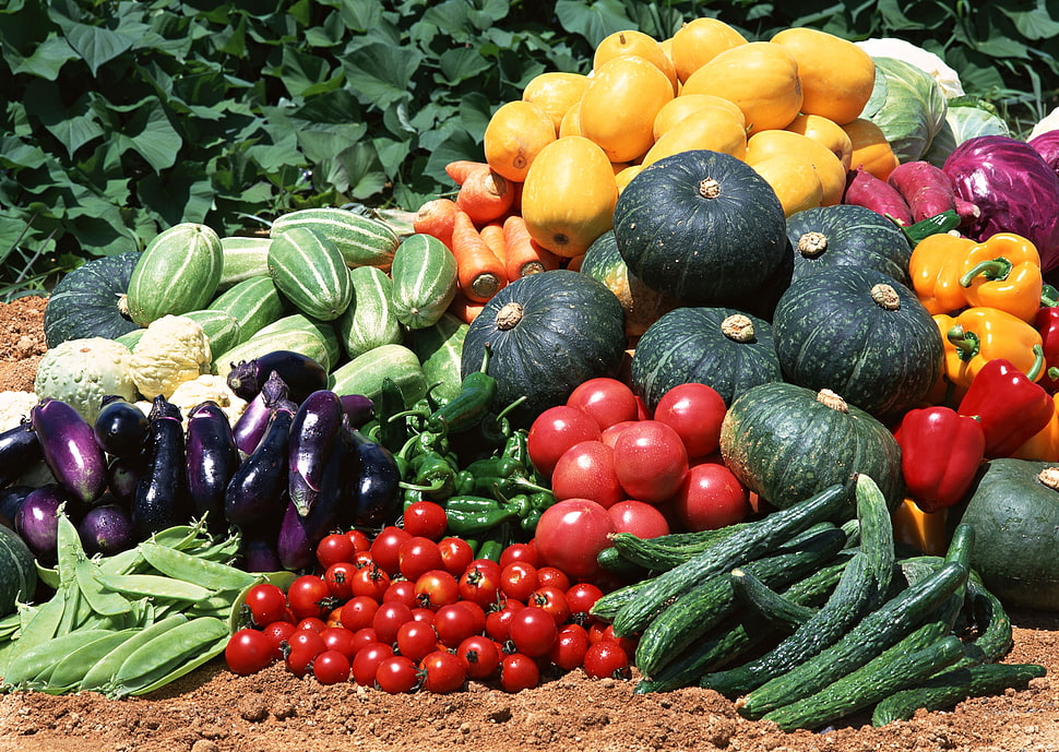 assorted vegetables HD wallpaper