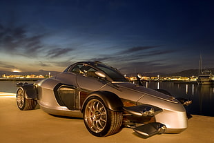 grey sports car beside a body of water closeup photo at night