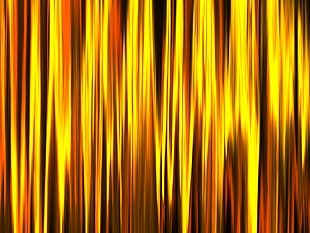 Lines,  Stripes,  Golden HD wallpaper