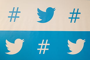 Twitter Logo HD wallpaper