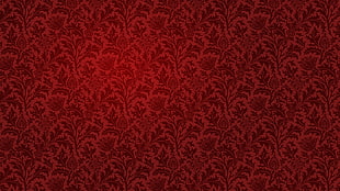 red lace textile