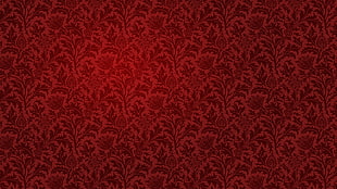 red lace textile
