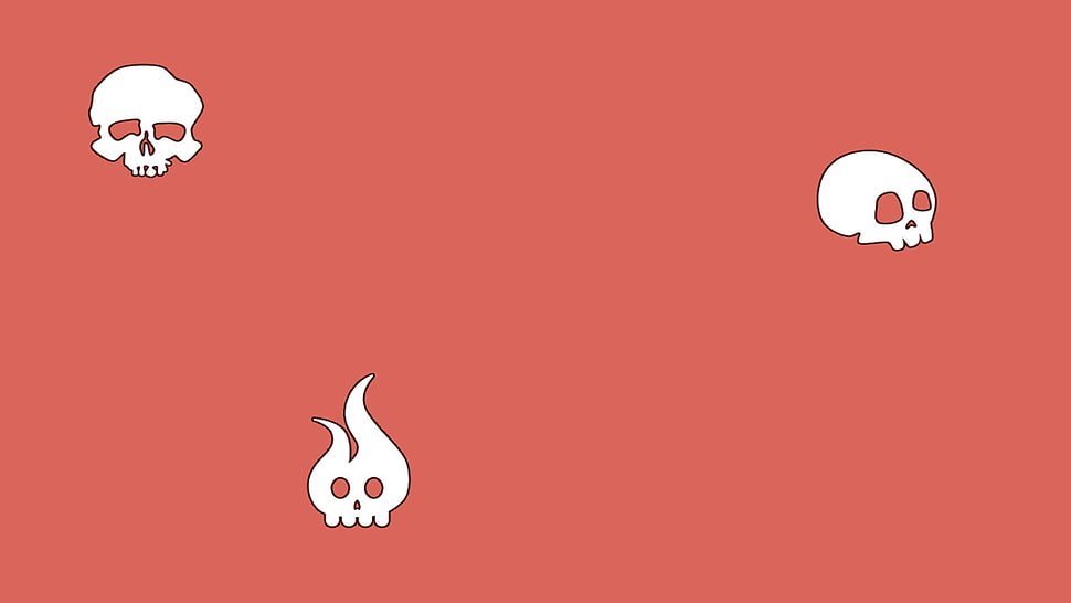 white skull illustrations, skull HD wallpaper