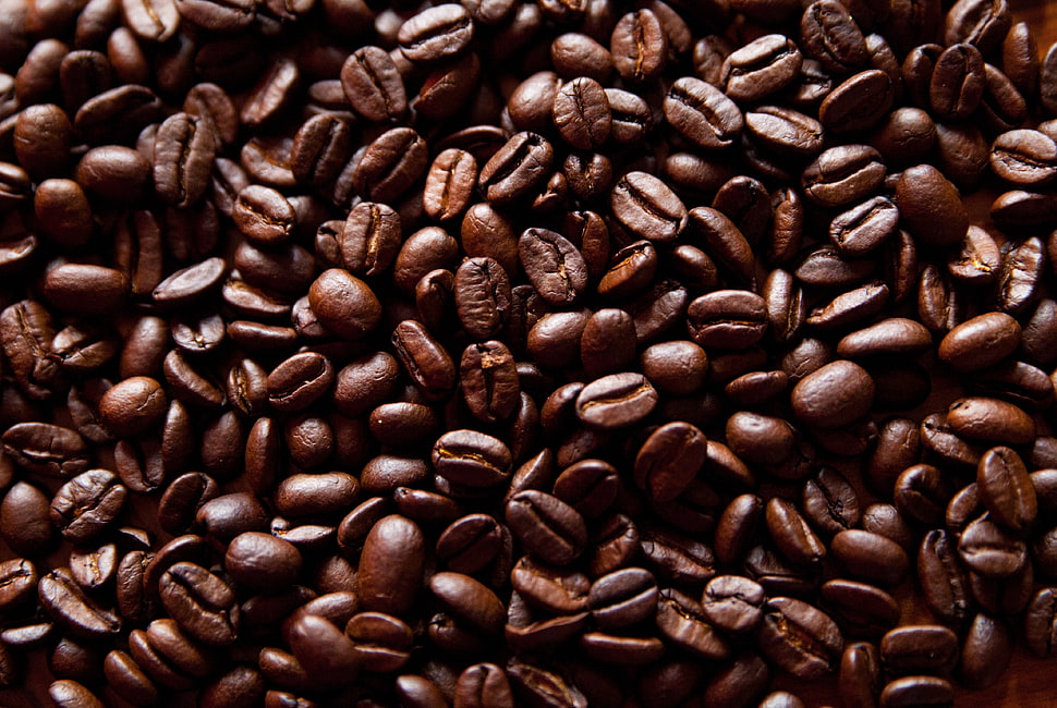 coffee bean lot HD wallpaper