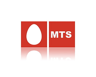 MTS logo print