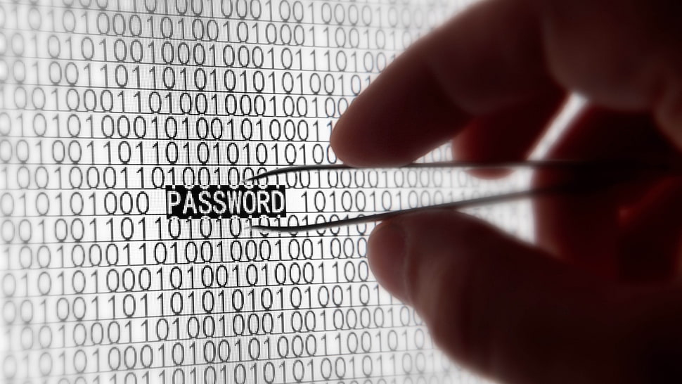 person holding tweezers picking password HD wallpaper