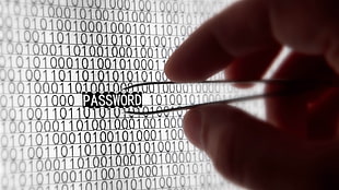 person holding tweezers picking password HD wallpaper
