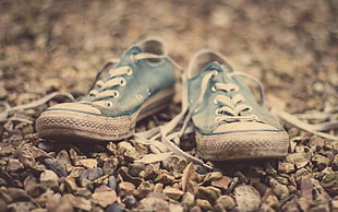 pair of blue Converse low-top sneakers on ground HD wallpaper