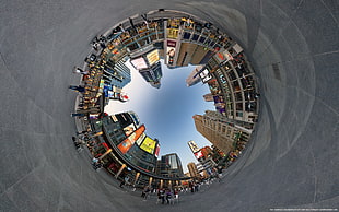 worm's eye view of buildings, cityscape, city, building, street