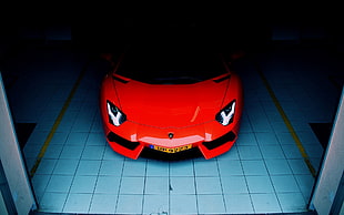 red Lamborghini Aventador, car, red cars