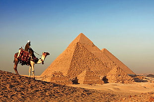 man riding on camel near brown concrete Pyramid during daytime
