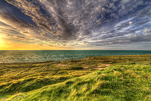 photo of grass field near body of water with cloudy sky, hirtshals