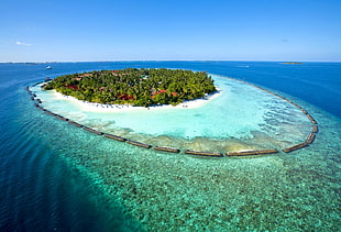 birds eye photography of islet, beach, landscape, Maldives