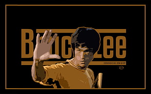 Bruce Lee poster, Bruce Lee, kung fu, digital prints, artwork HD wallpaper