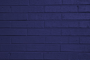 blue concrete bricked wall