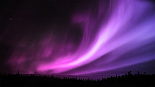 aurora borealis, night, stars, aurorae, landscape