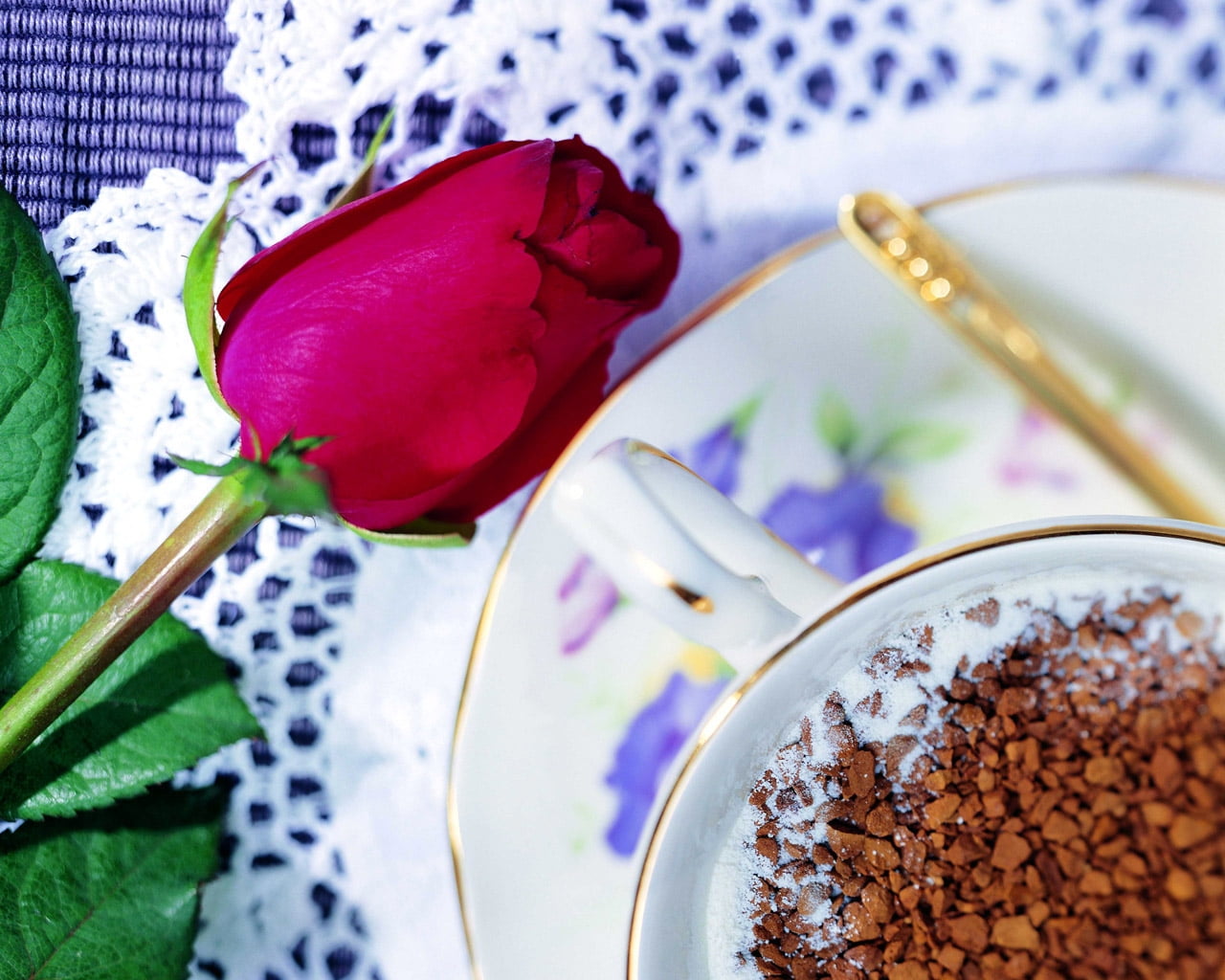 red rose near white ceramic teacup