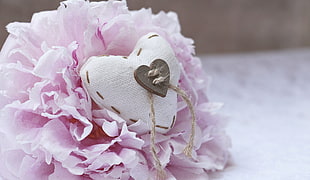 pink and white heart and floral decor